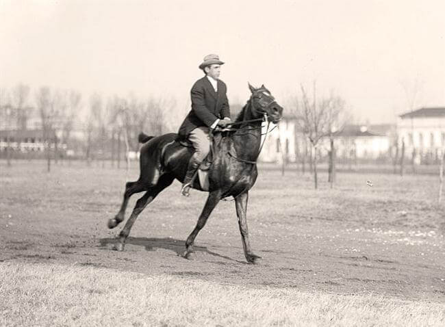 Riding-Horse-Man