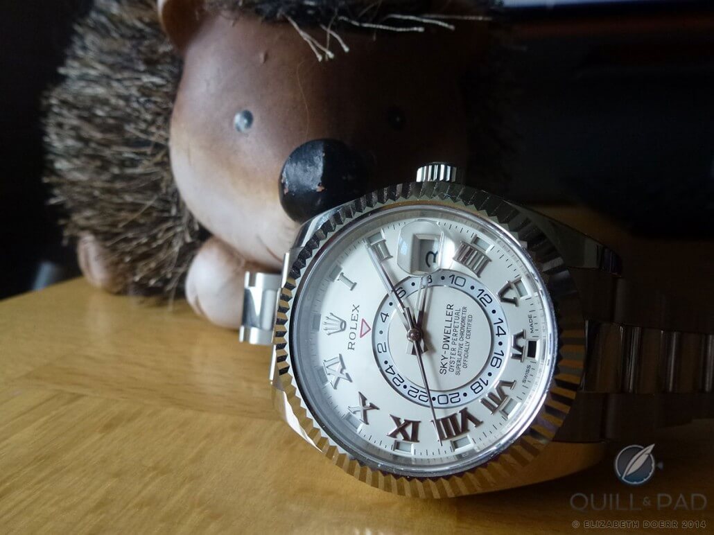 The Rolex Sky-Dweller with an admirer