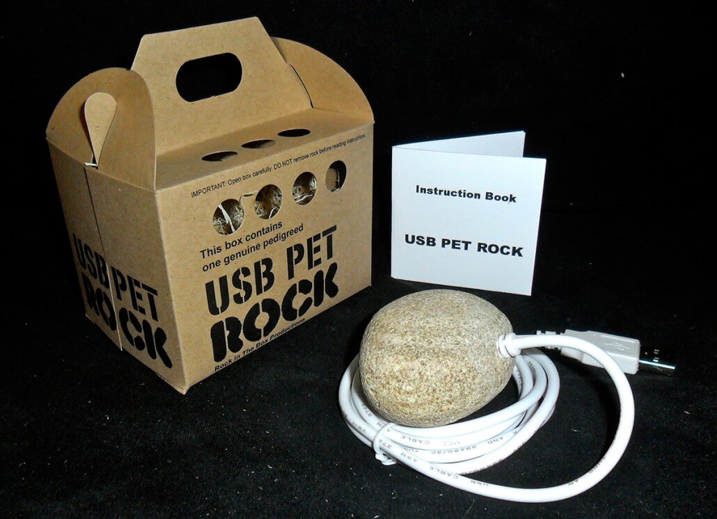 Pet rocks, even those updated with USB connections, were a short-term fad