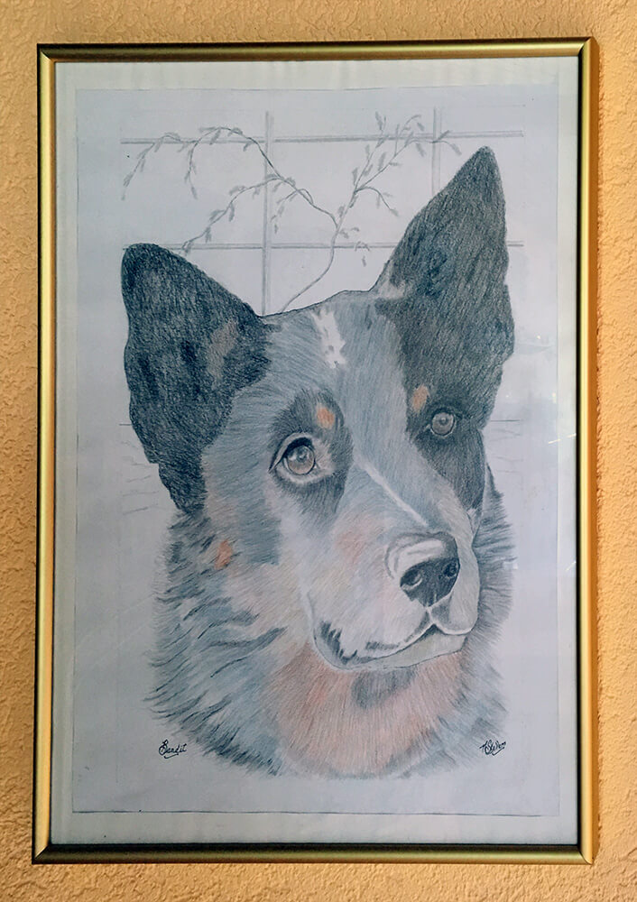 Sketch of Bandit by Neil Skellern