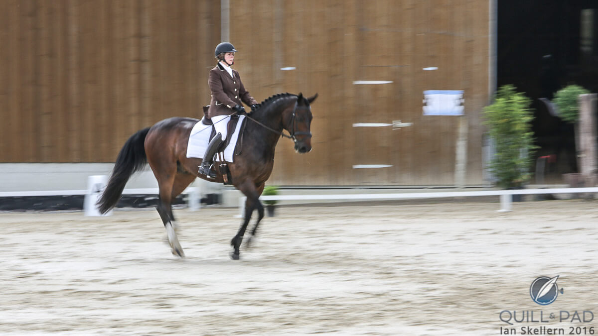Brigitte and Gucci in 2016