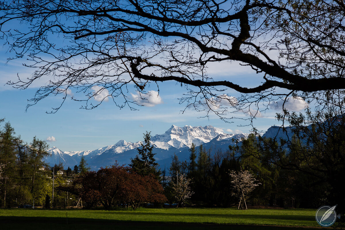 Spectacular view of the Alps from Chaplin's World at Manoir de Ban