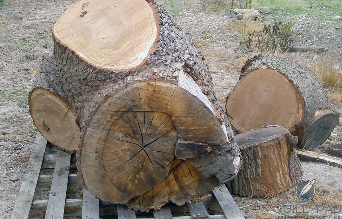 Large blocks of timber from what was once Marie Antoinette's favorite oak tree at the Petit Trianon on the Versailles estate