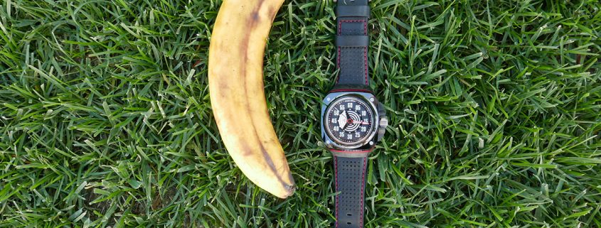 Gorilla Fastback relaxing on the grass with a friend