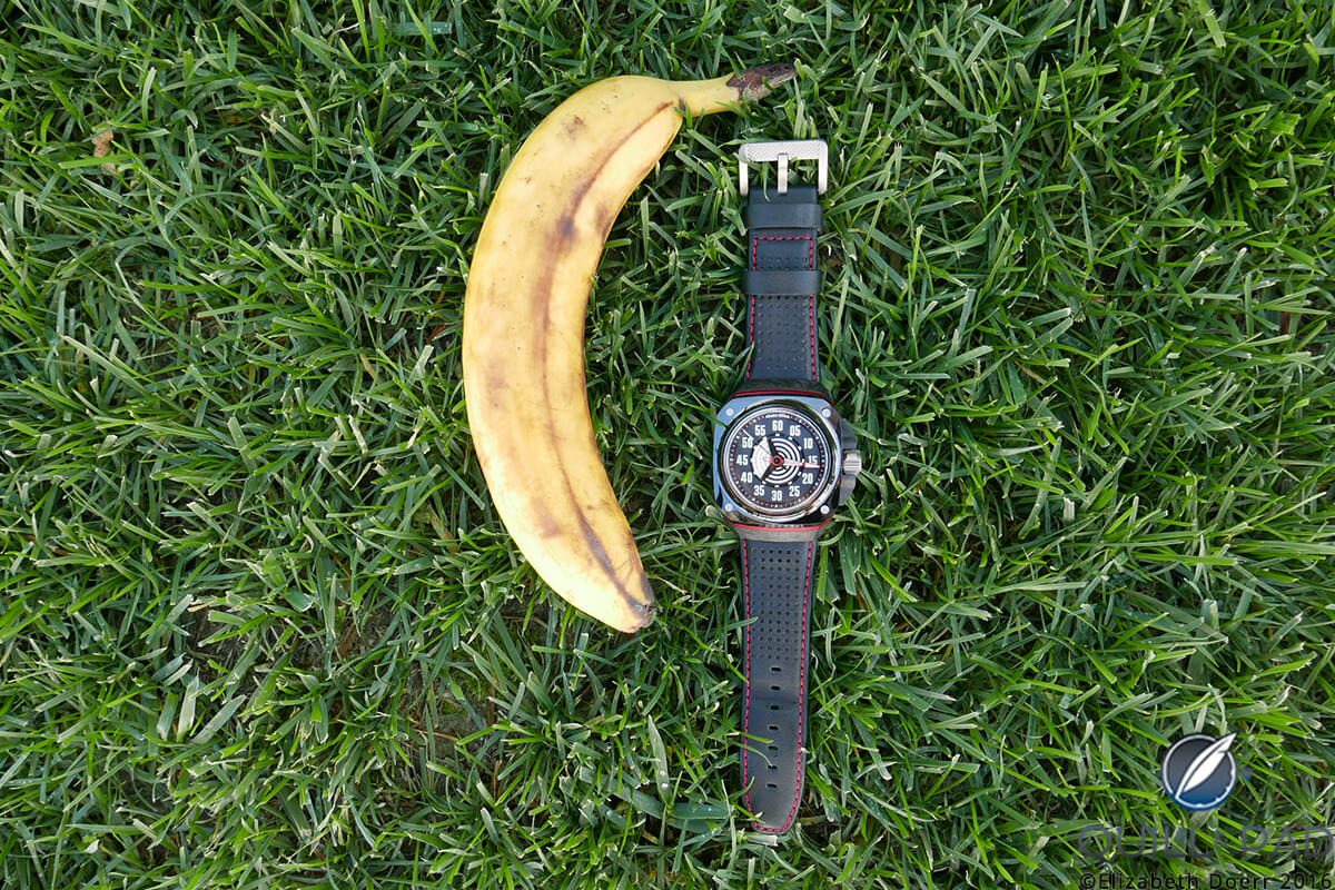 Gorilla Fastback relaxing on the grass with a friend