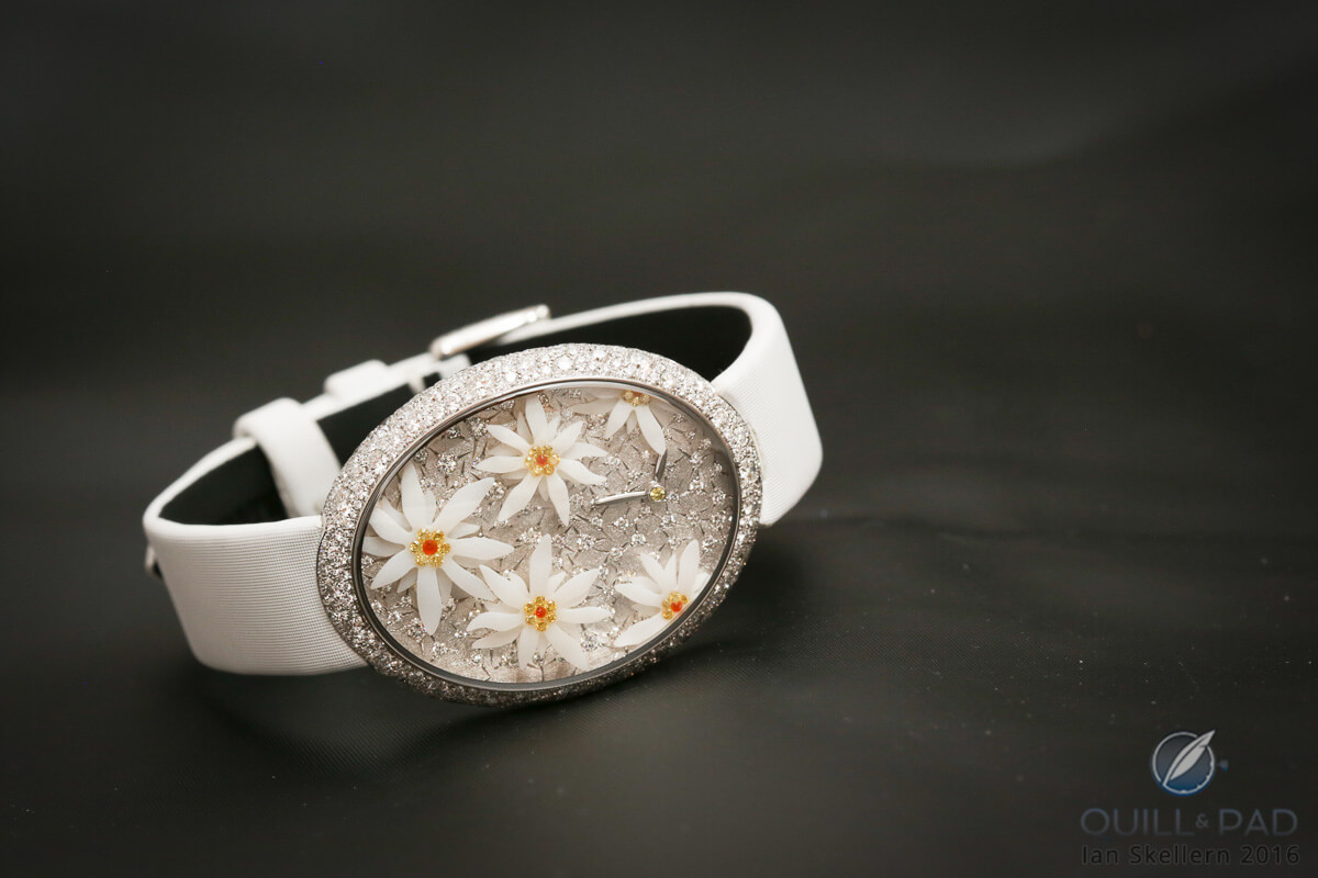 Van T’Hoff Quintessence Edelweiss Edelsnow