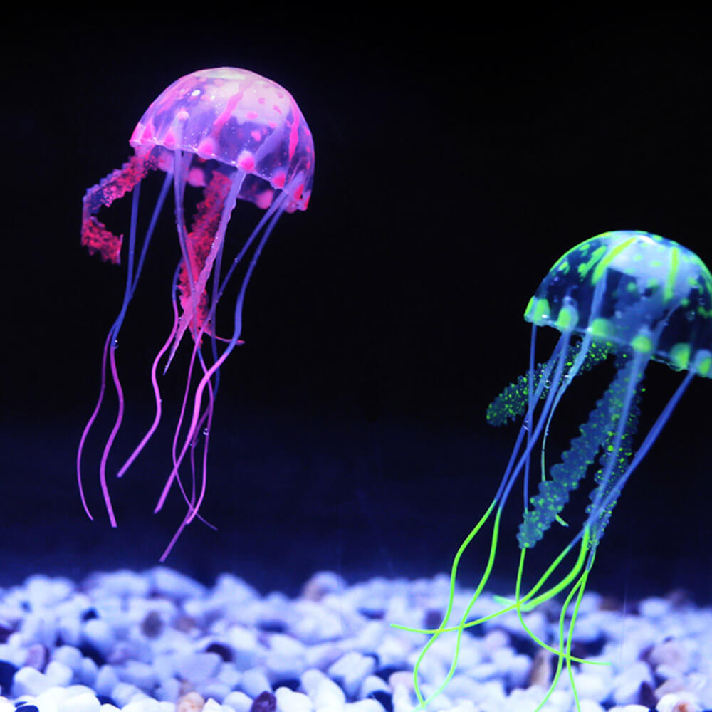 glowing jelly fish (image courtesy www.aliexpress.com)