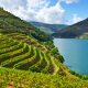 Vineyards for Port wine growing in the Alto Douro