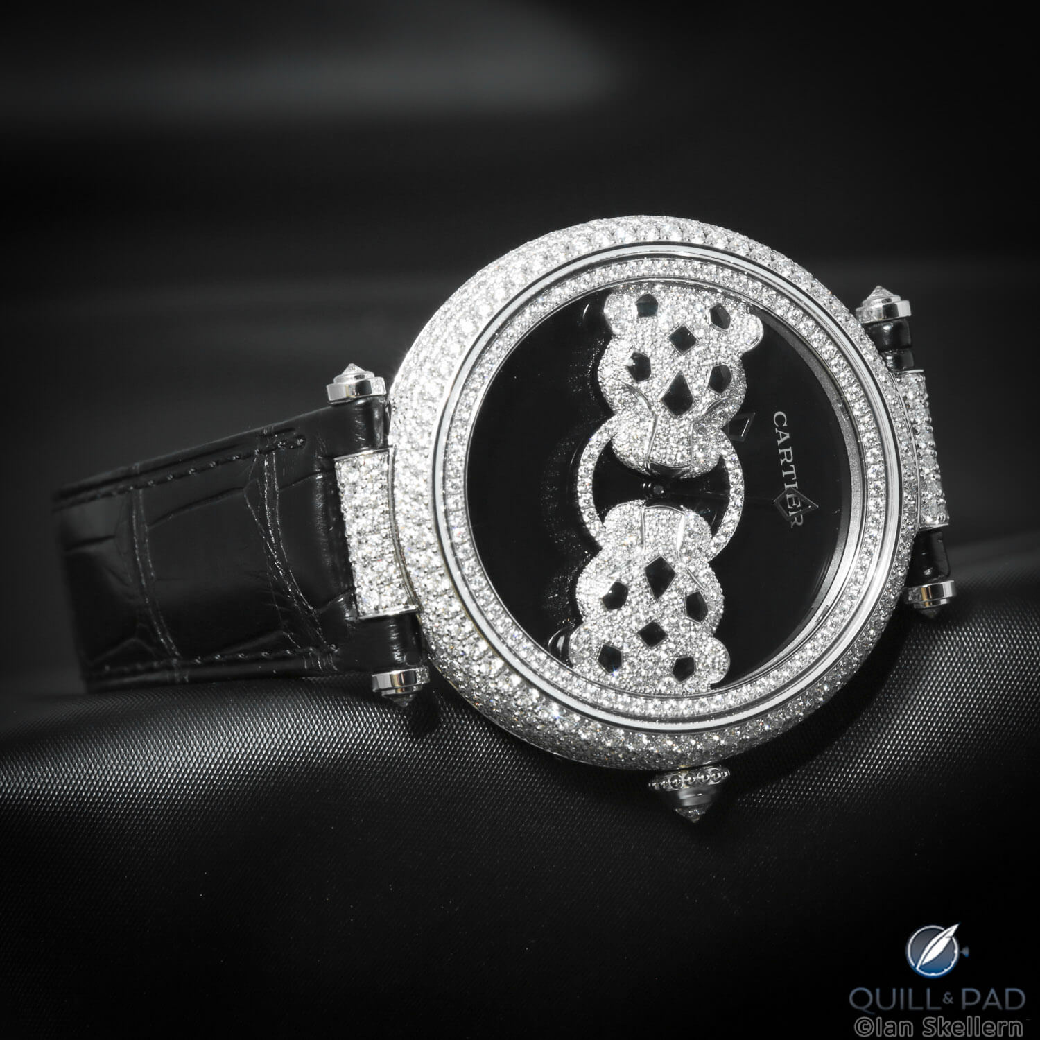 Cartier Rencontre de Panthères