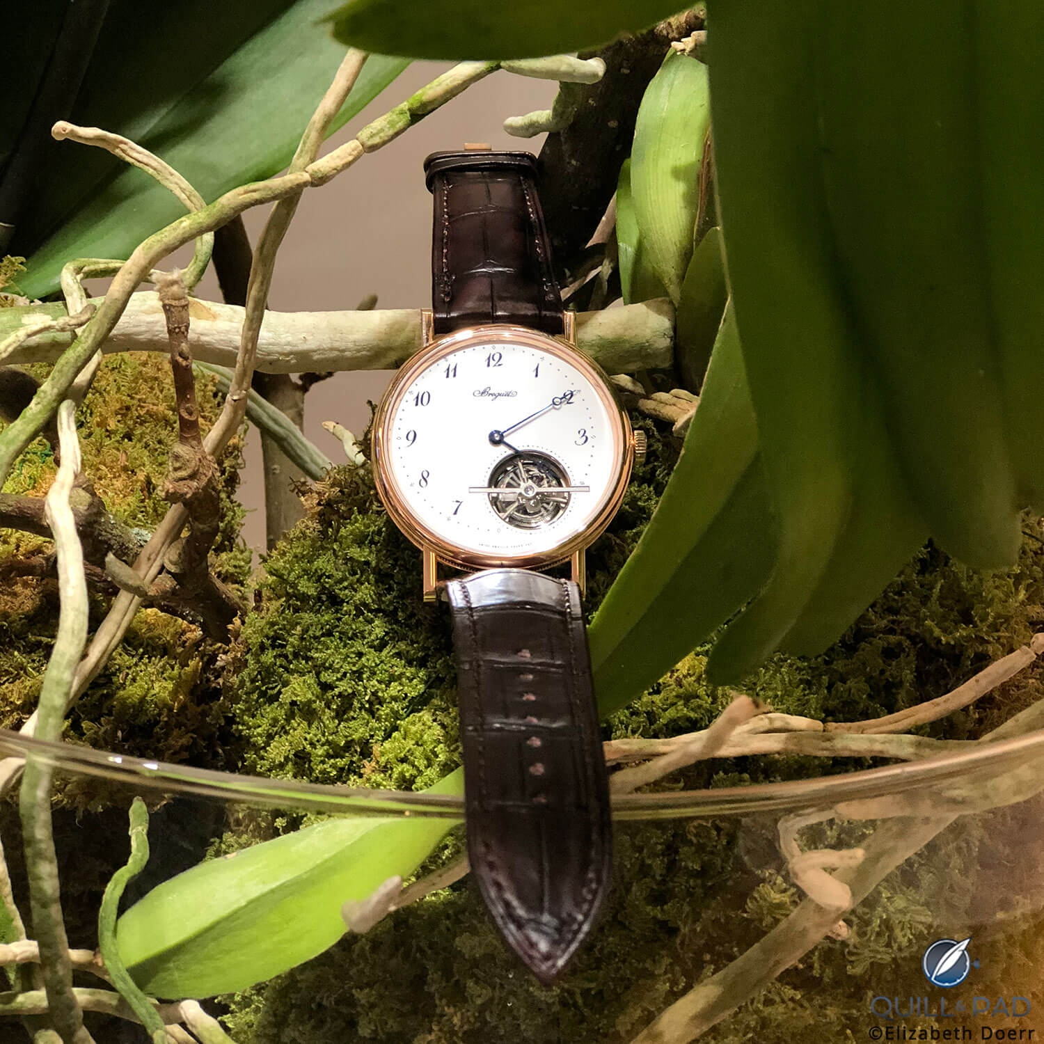 Breguet Classique Tourbillon Extra-Plat Automatique 5367 Grand Feu Enamel