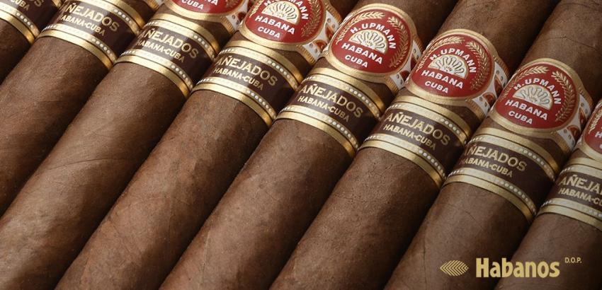 Romeo y Julieta Anejados