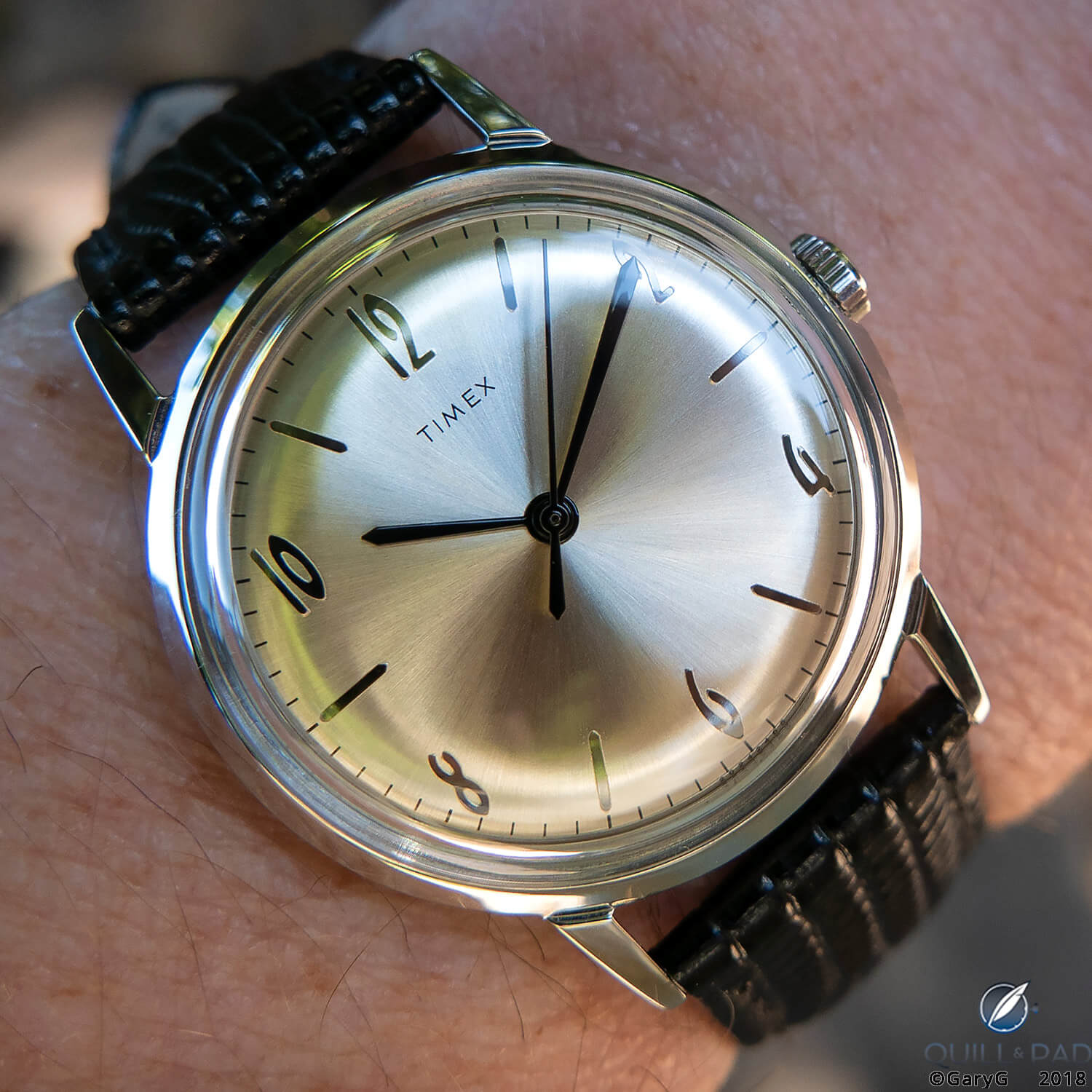 On the wrist: Timex Marlin re-edition