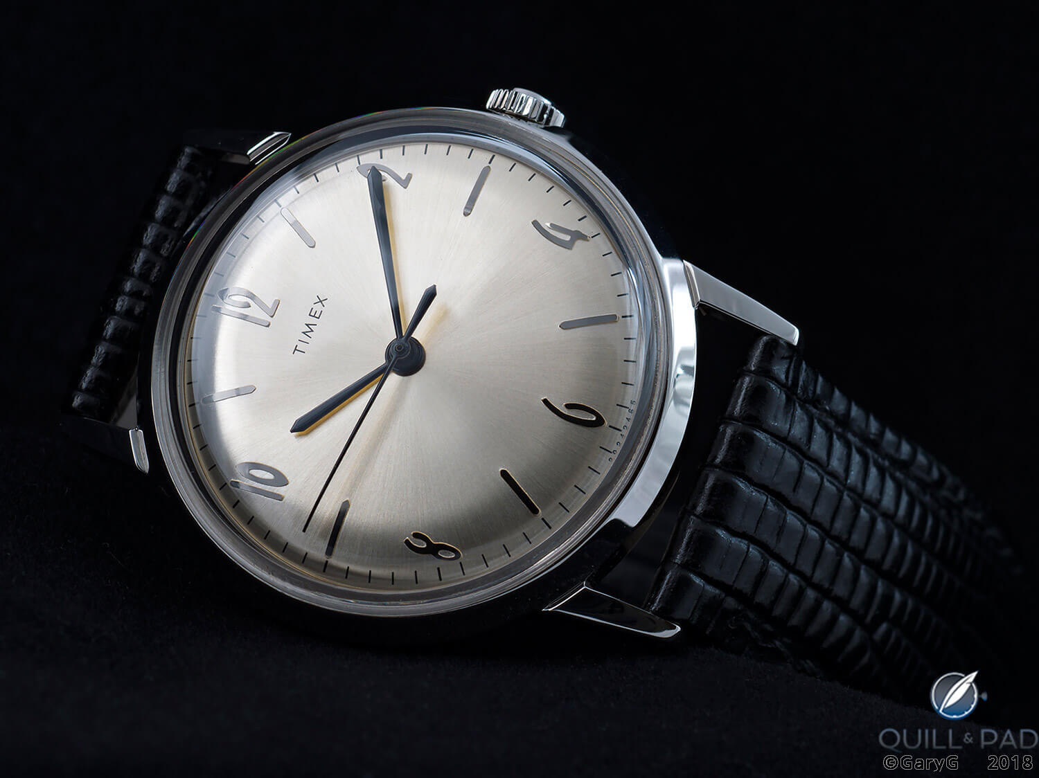 Affordable fun: Timex Marlin