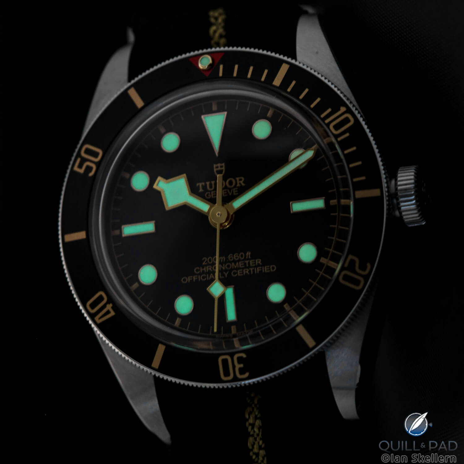 Tudor Heritage Bla