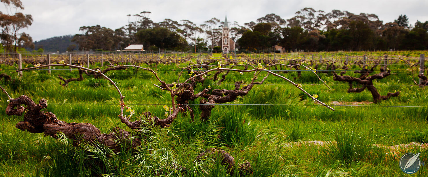 Henschke Hill of Grace vineyard