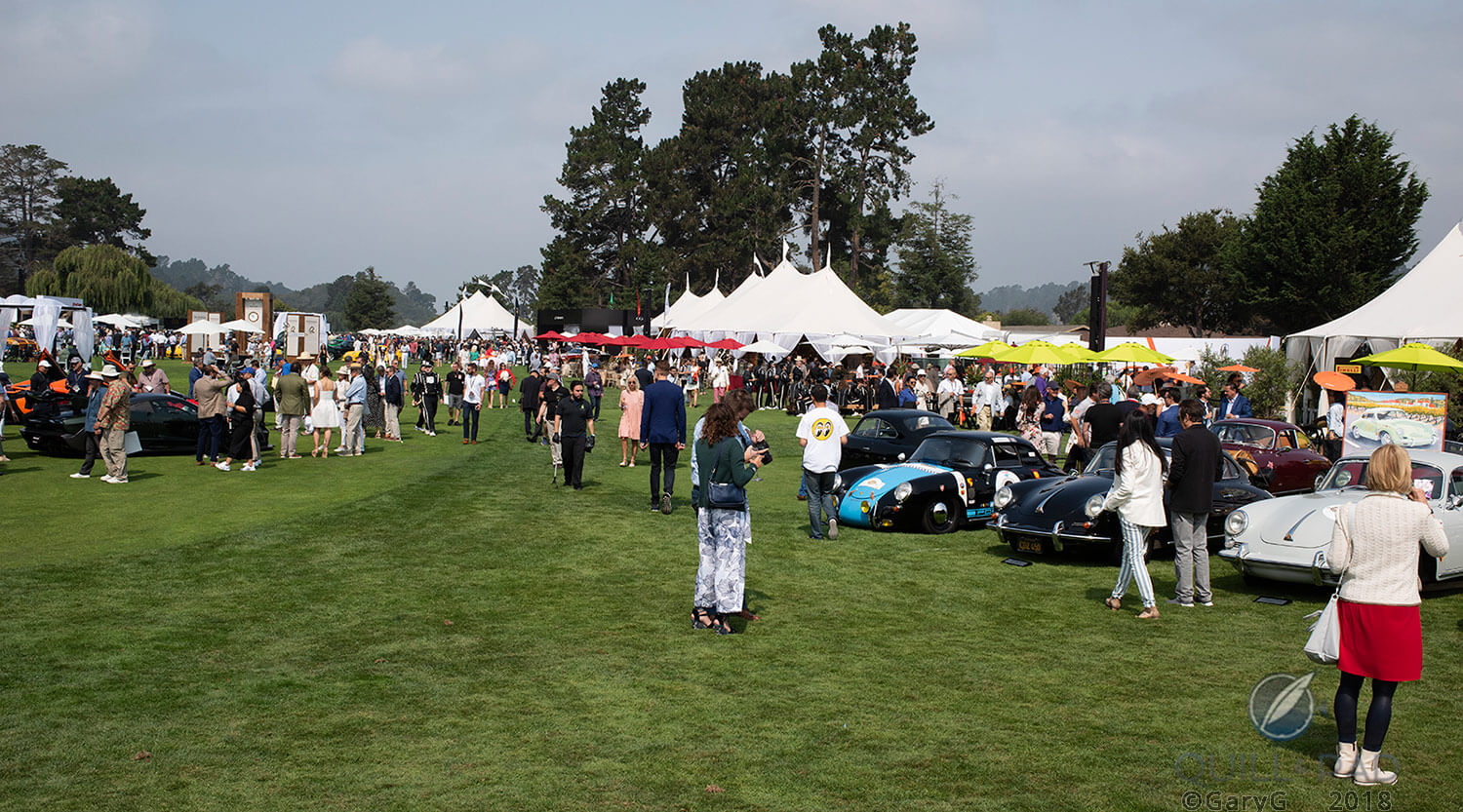 On the field: The Quail 2018