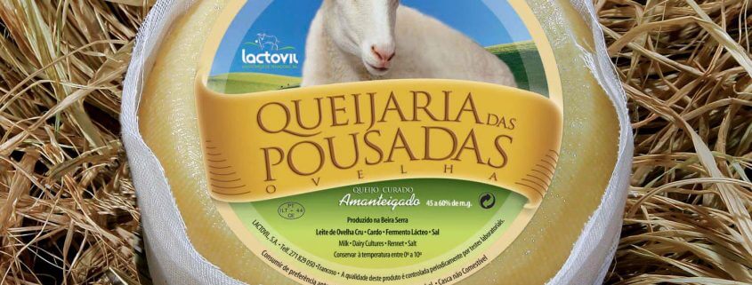 Serra de Estrela cheese
