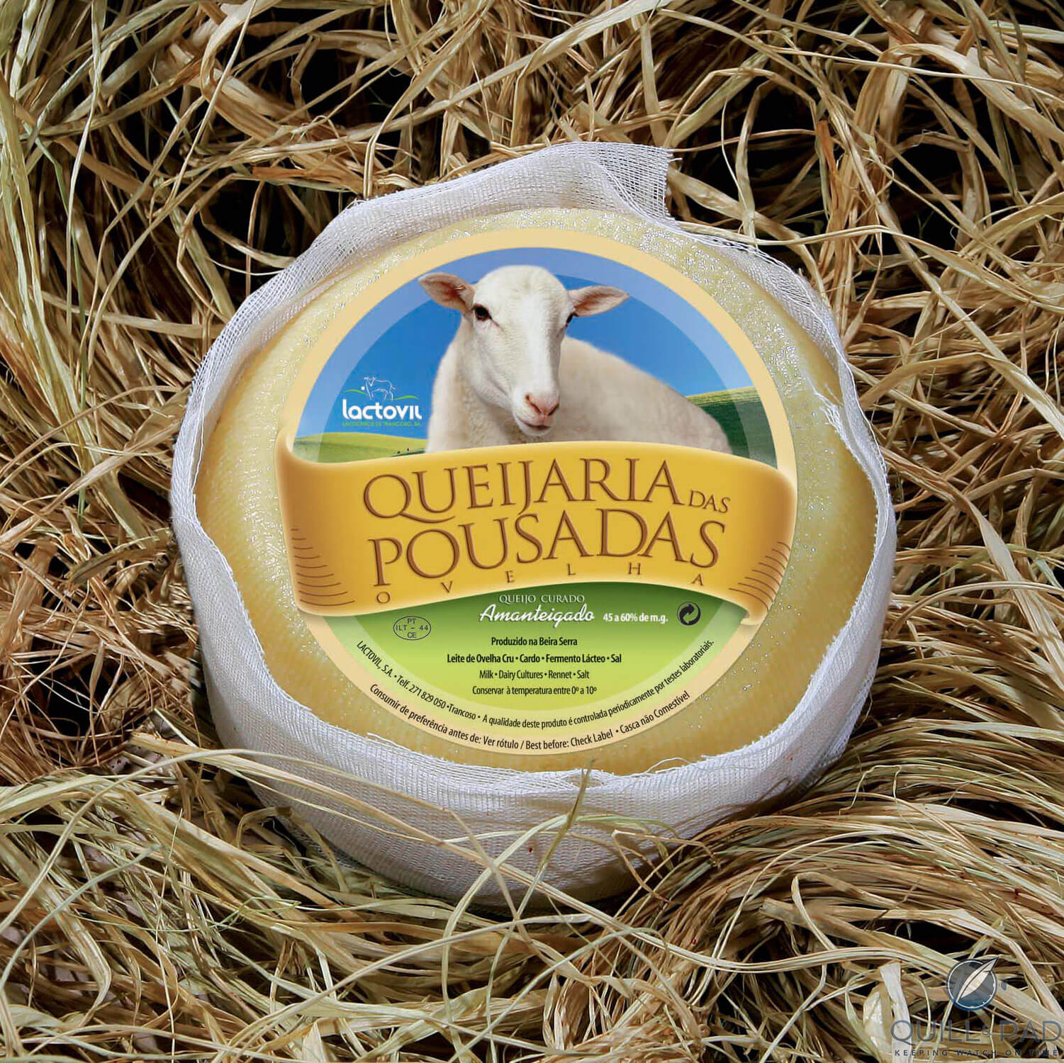 Serra de Estrela cheese 