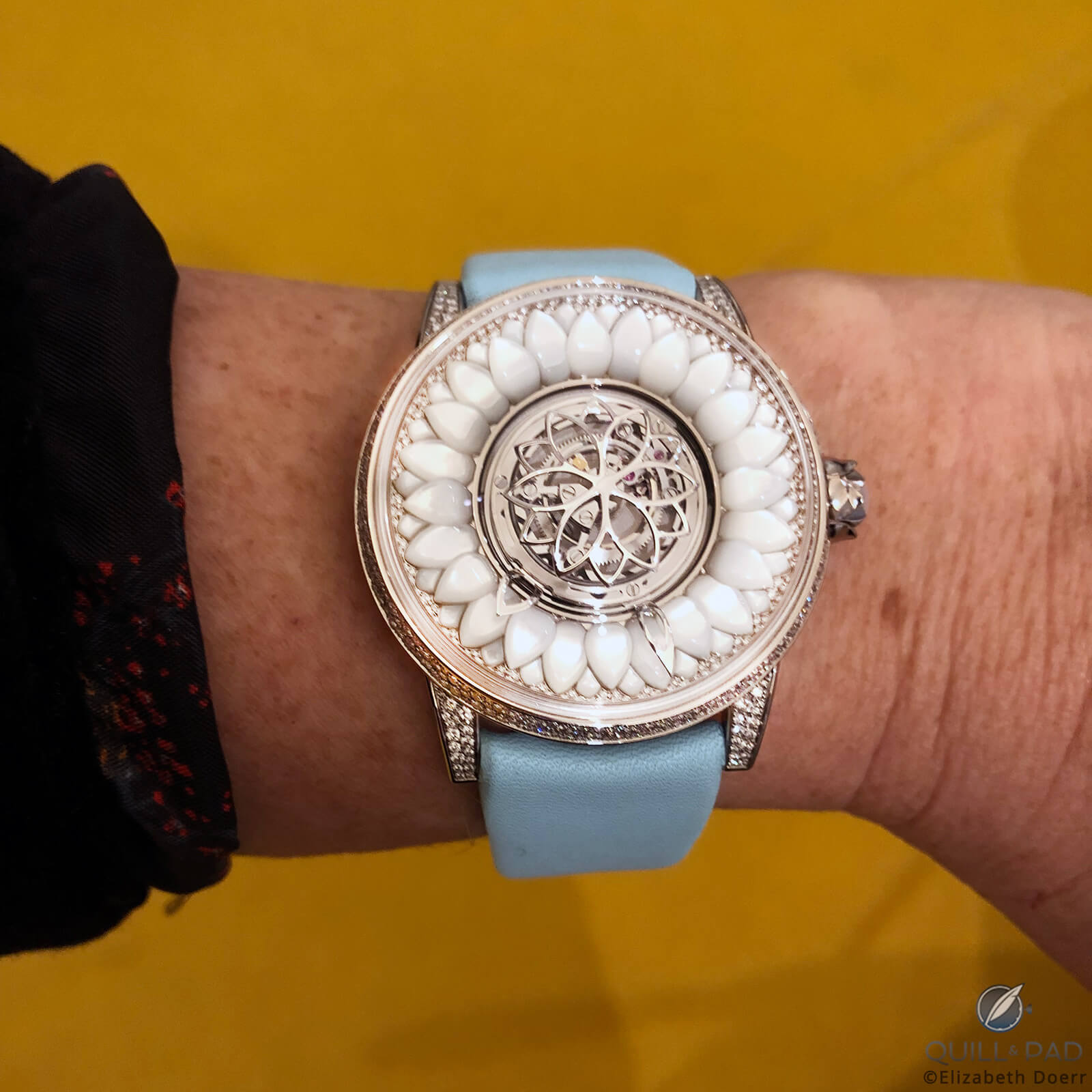 Beauregard Dahlia C1 on the wrist